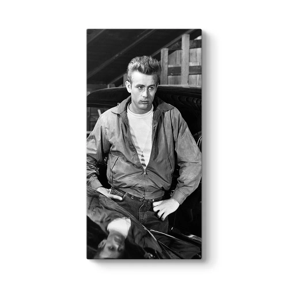 James Dean Aktör Tablosu - Model 7